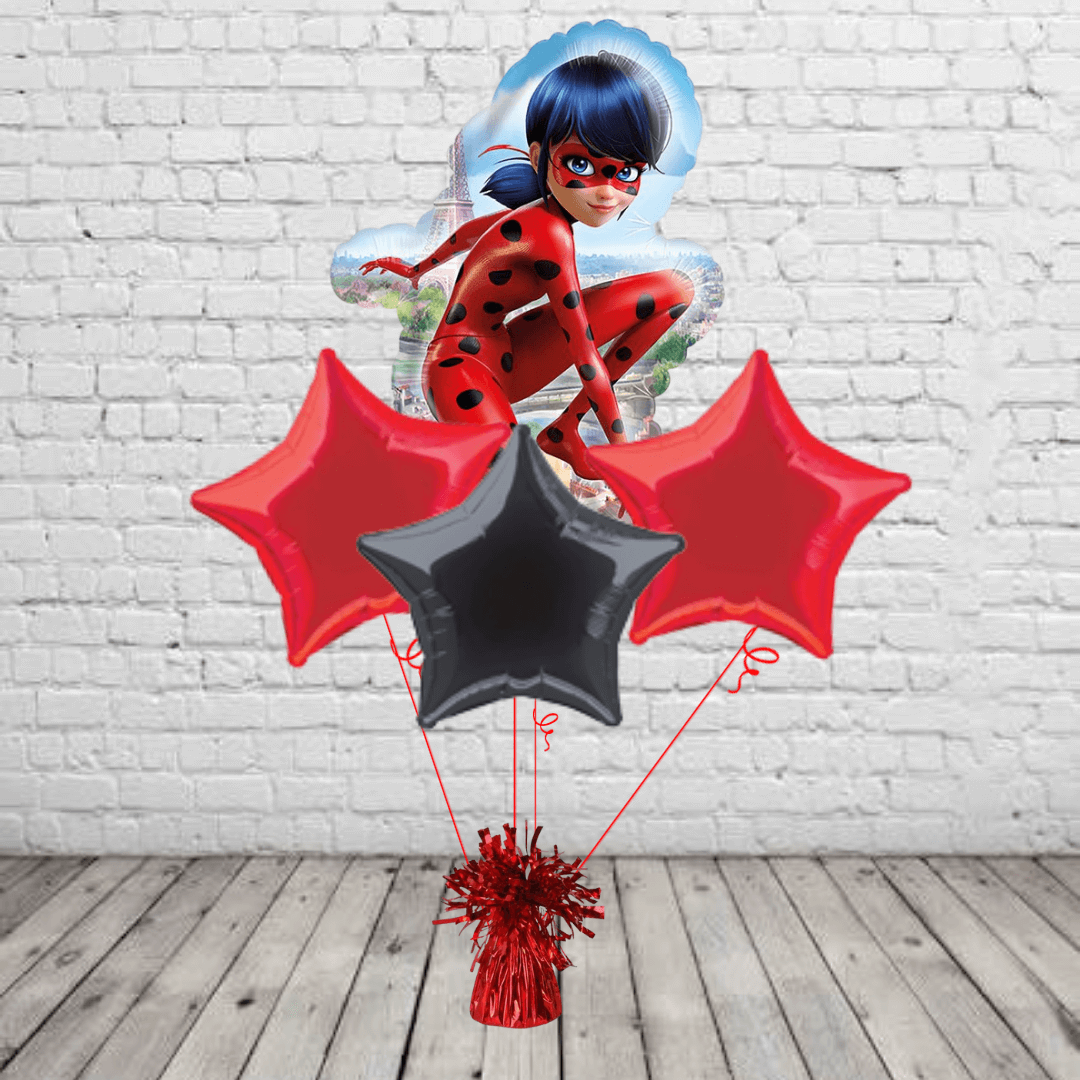 miraculous ladybug Miraculous Ladybug Bundle