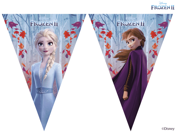 frozen 2 flag banner featuring anna and elsa on a frozen 2 background frozen 2 flag banner featuring anna and elsa on a frozen 2 background